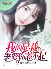我的总裁老婆你惹不起封面