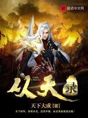 从天录封面