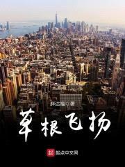 草根飞扬封面