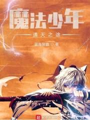 魔法少年通天之途封面