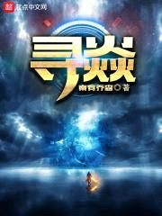 寻焱封面