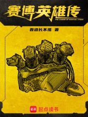 赛博英雄传封面