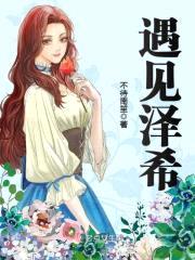 遇见泽希封面