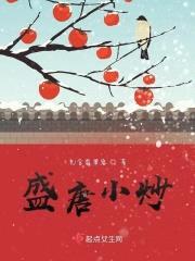 盛唐小炒封面