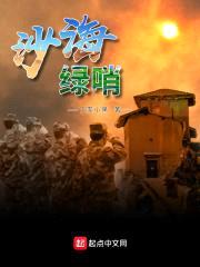 沙海绿哨封面