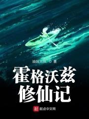 霍格沃兹修仙记封面