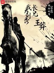 我乃刘秀长兄王莽封面
