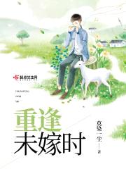 重逢未嫁时封面