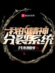 我的精神分裂系统封面