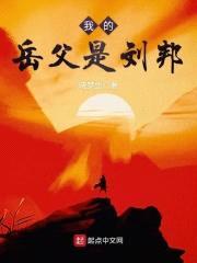 我的岳父是刘邦封面