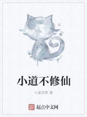 小道不修仙封面