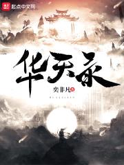 华天录封面