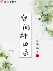 空间种田录封面