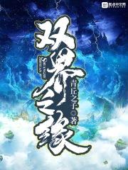 双界之缘封面