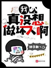 我真没想做坏人啊封面