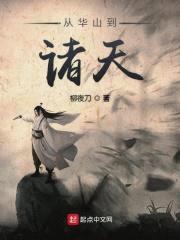 从华山到诸天封面