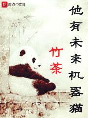 他有未来机器猫封面