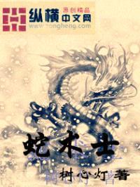 蛇术士封面