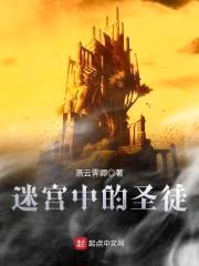 迷宫中的圣徒封面
