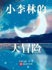 小李林的大冒险封面