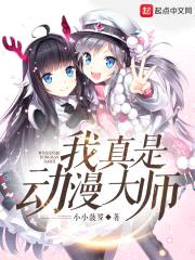 我真是动漫大师封面