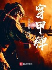穿甲弹封面