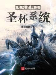 哈利波特之圣杯系统封面