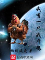 我有一只战斗鸡封面