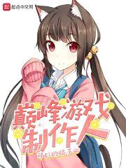 巅峰游戏制作人封面