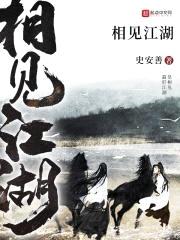 相见江湖封面