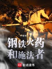 钢铁火药和施法者封面