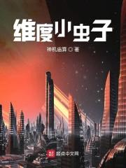 维度小虫子封面