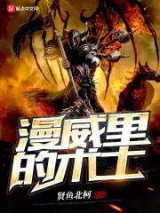 某美漫的术士封面
