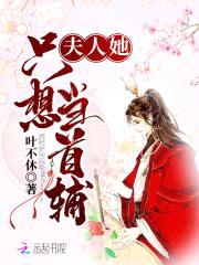 夫人她只想当首辅封面