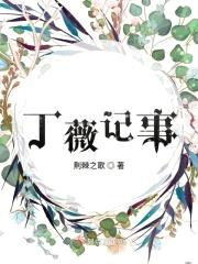 丁薇记事封面
