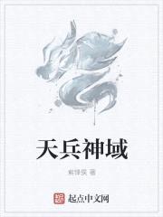 天兵神域封面