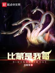无用的后勤封面