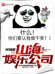 山海娱乐公司封面