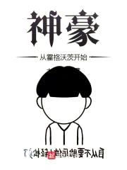 神豪从霍格沃茨开始封面