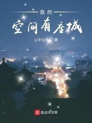 我的空间有座城封面