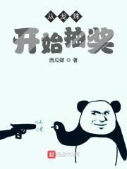 从龙珠开始抽奖封面