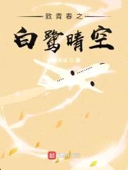 致青春之白鹭晴空封面