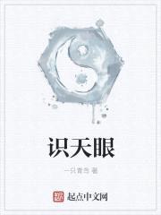 识天眼封面