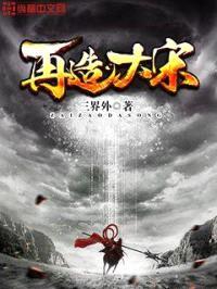 再造大宋封面