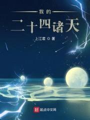 我的二十四诸天封面