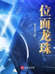 位面龙珠封面