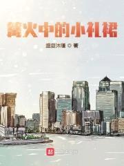 篝火中的小礼裙封面
