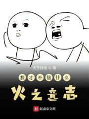 我才不信什么火之意志封面