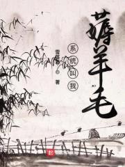 系统叫我薅羊毛封面