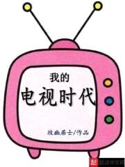 我的电视时代封面